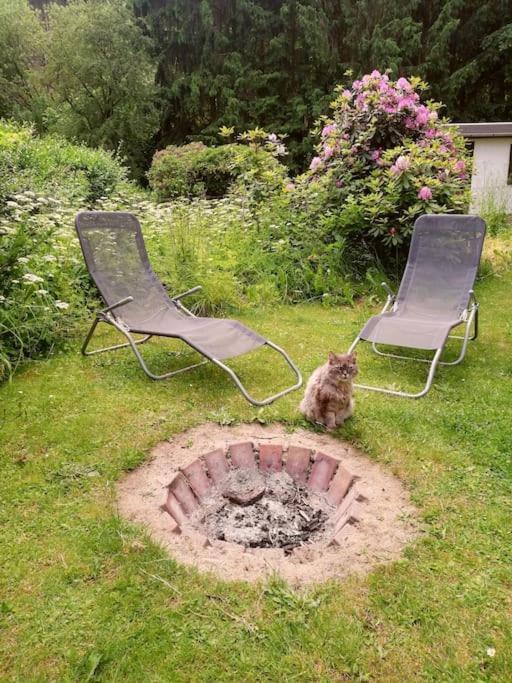 Ferienwohnung Fuer Naturfreunde Rathmannsdorf Bagian luar foto